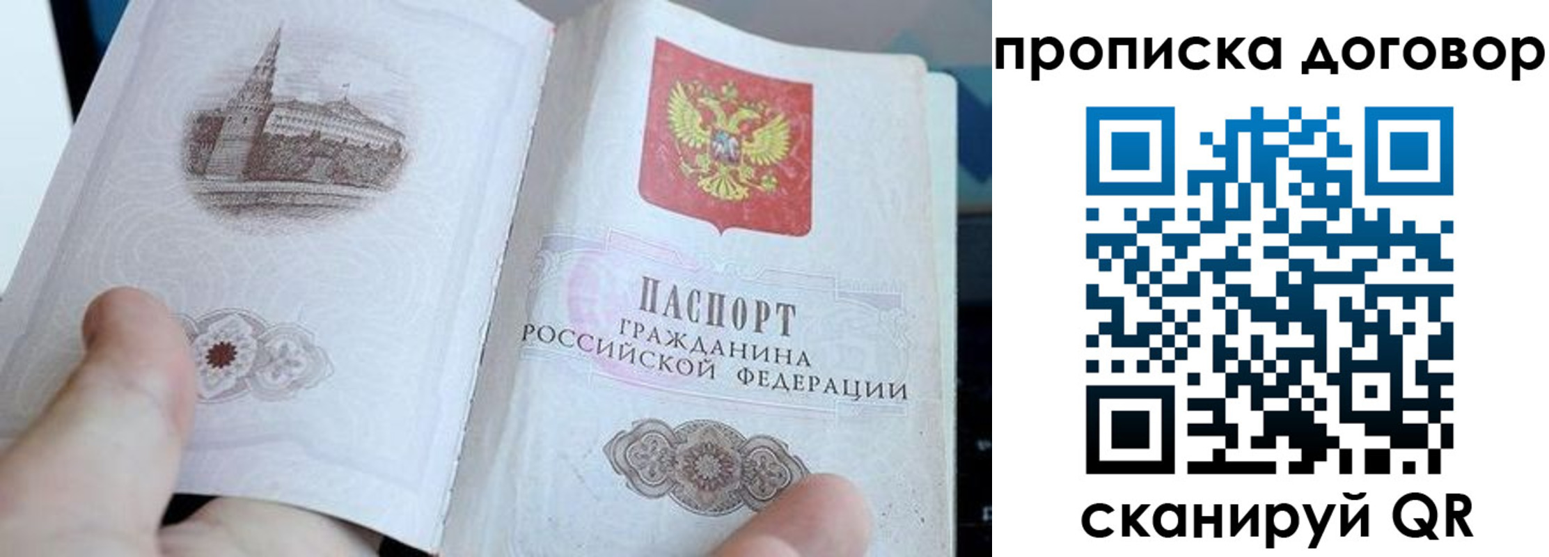 прописка в Северске